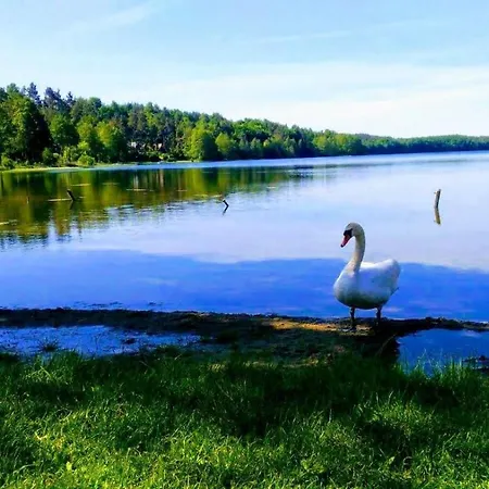 Mala Cegielnia - Balia Z Babelkami I Sauna Na Wylacznosc W Lesnym Klimacie בית נופש גולוביה