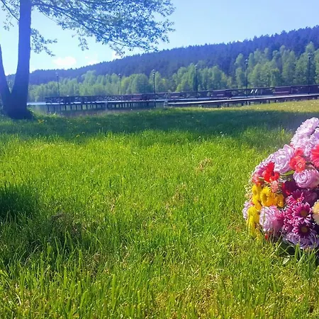 Holiday home Mala Cegielnia - Balia Z Babelkami I Sauna Na Wylacznosc W Lesnym Klimacie *