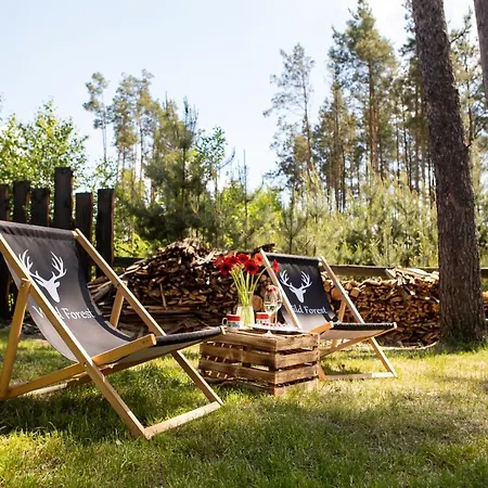 Holiday home Mala Cegielnia - Balia Z Babelkami I Sauna Na Wylacznosc W Lesnym Klimacie